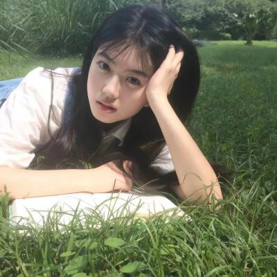 茶乡花正开